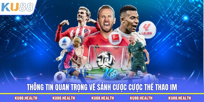 Thông tin quan trọng về sảnh cược cược thể thao IM